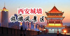 爆操美女大粉逼中国陕西-西安城墙旅游风景区