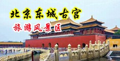 口交骚屄中国北京-东城古宫旅游风景区